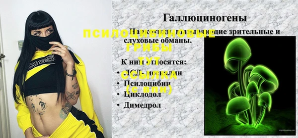 дмт Касимов