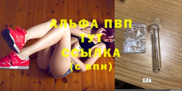 2c-b Инта