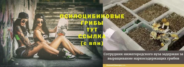 кокаин колумбия Инсар